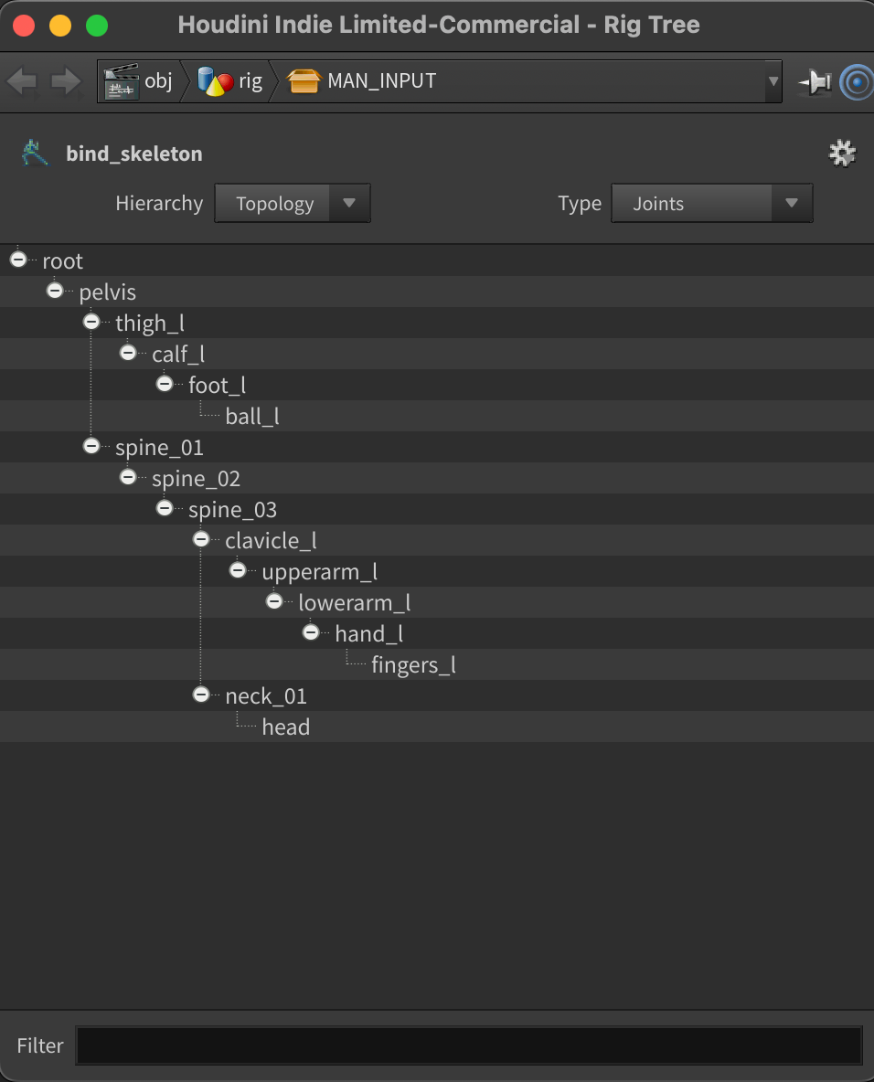 Basic Auto-rigging in APEX with Houdini 20