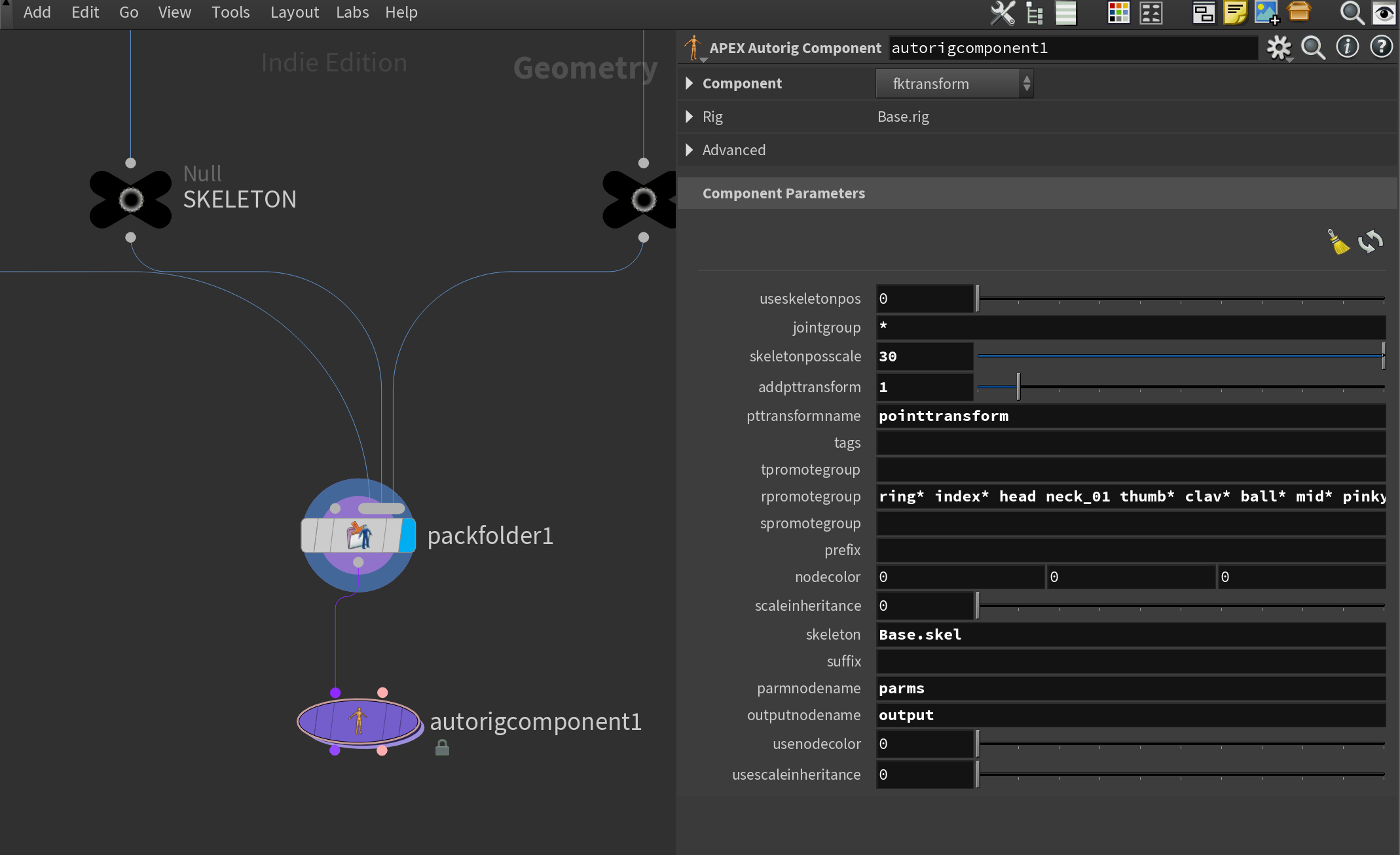 Basic Auto-rigging in APEX with Houdini 20